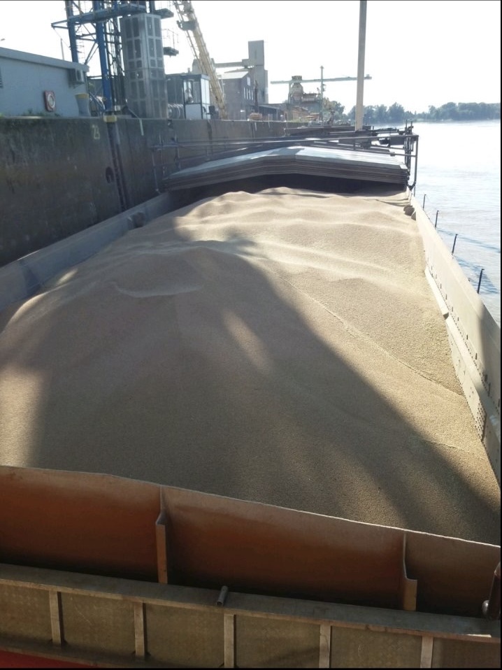 Dry cargo hold